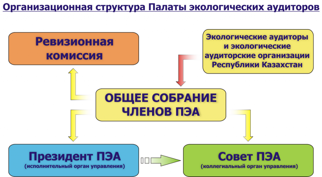 Организационная структура управления ПЭА
